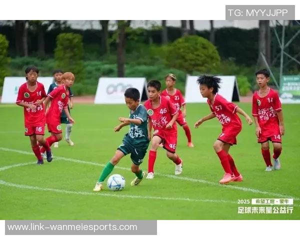 足球牡丹绽放绿茵场上的魅力与激情展现运动之美与团队精神